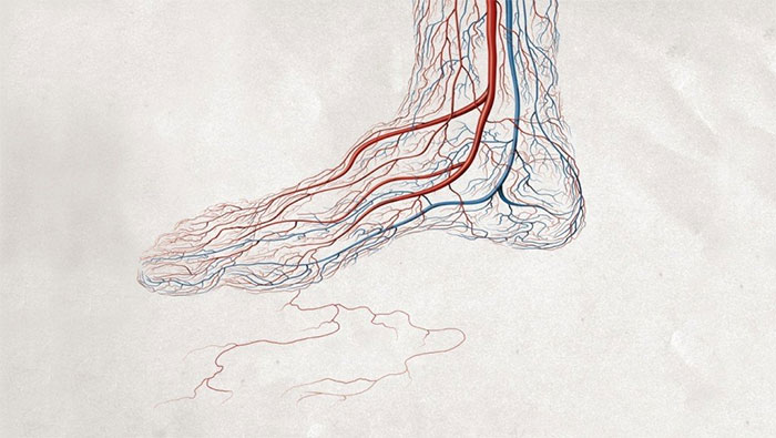 Picture 2 of Why does putting your feet out of the blanket help you sleep better?