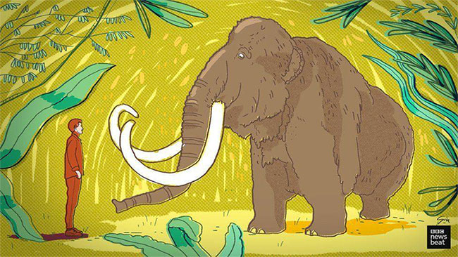 Picture 2 of Why does science have to spend tens of years just to revive mammoths?