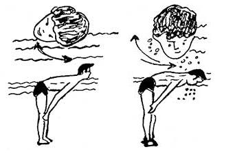 Picture 2 of Why don't you learn how to swim forever?