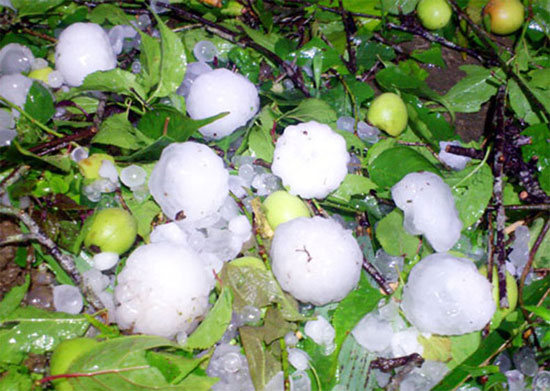 Picture 2 of Why hail, how to prevent hail