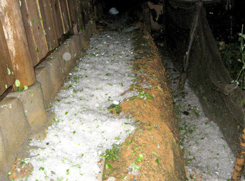 Picture 3 of Why hail, how to prevent hail