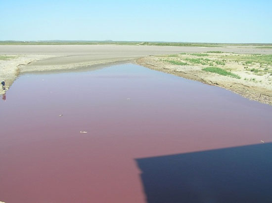 Picture 1 of Why have blood pools?