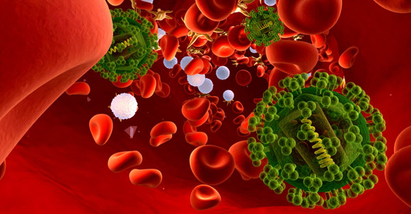 Picture 1 of Why is 3BNC117 antibody a new hope for HIV treatment?