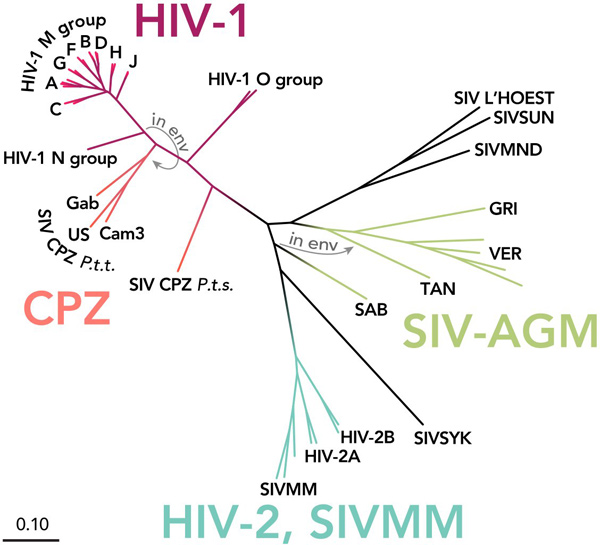 Picture 6 of Why is 3BNC117 antibody a new hope for HIV treatment?