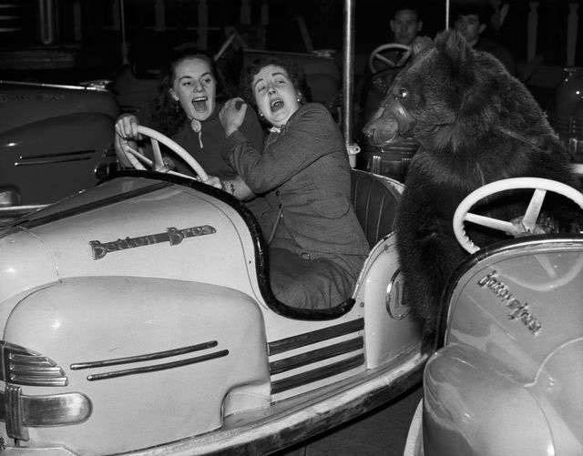 Picture 1 of Why is it even more fearful that we scream more?