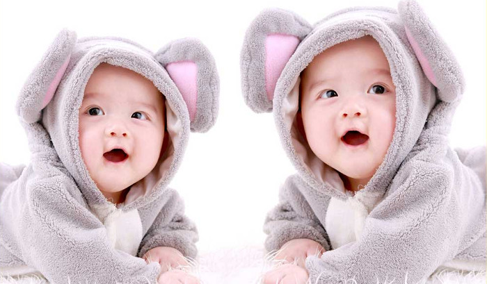 Picture 1 of Why is it possible to conceive twins?