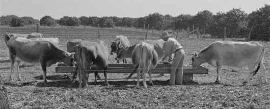 Picture 2 of Why is milk contained in a rectangular paper box?