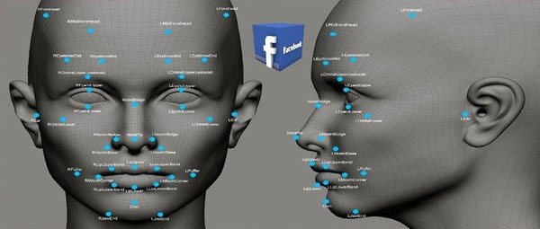 Picture 4 of Why is no human face like anyone?