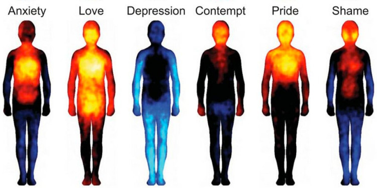 Picture 1 of Why is our body hot and cold?