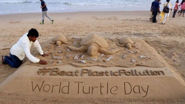Picture 2 of Why is plastic a deadly attraction to sea turtles?