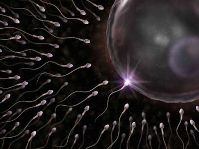 Picture 2 of Why is sperm dysfunction?