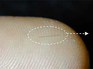 Picture 1 of Why is the fingertip the most tactile place?