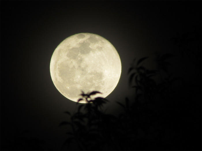 Picture 1 of Why is the first-born boy and the girl on the full moon difficult to raise?