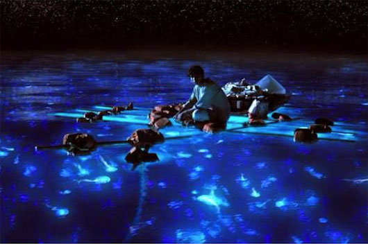 Picture 2 of Why is the night sea glimmering with strange lights?