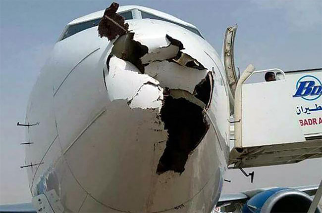 Picture 3 of Why is the plane most afraid of hitting a bird?