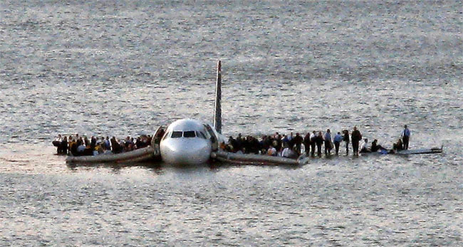 Picture 4 of Why is the plane most afraid of hitting a bird?