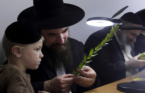 Picture 2 of Why is the smartest Jew in the world?