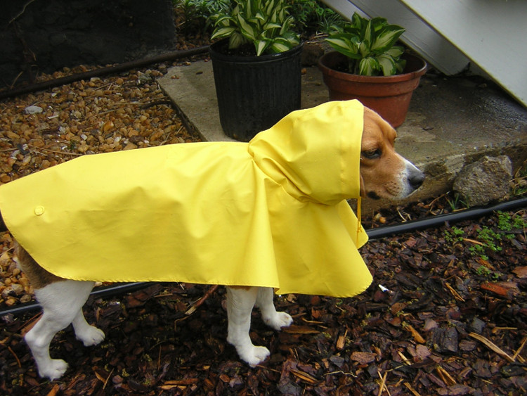 Picture 4 of Why is the weather forecast often wrong?