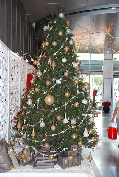 Picture 4 of Why is there a Christmas?  (2)