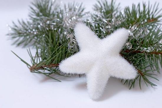 Picture 6 of Why is there a Christmas?  (2)