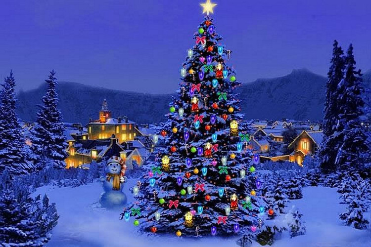 Picture 1 of Why is there a tradition of decorating and lighting up Christmas trees?