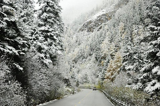 Picture 7 of Why is unusual snowfall in Vietnam, Egypt and the Middle East?