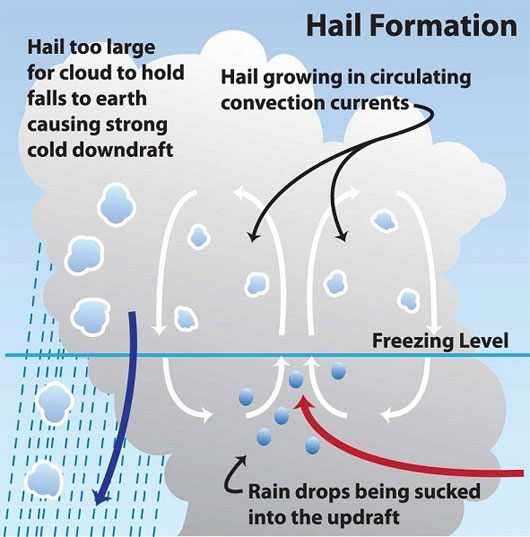 Picture 8 of Why is unusual snowfall in Vietnam, Egypt and the Middle East?