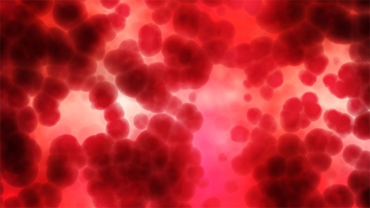 Picture 3 of Why is young blood a medicinal god helping