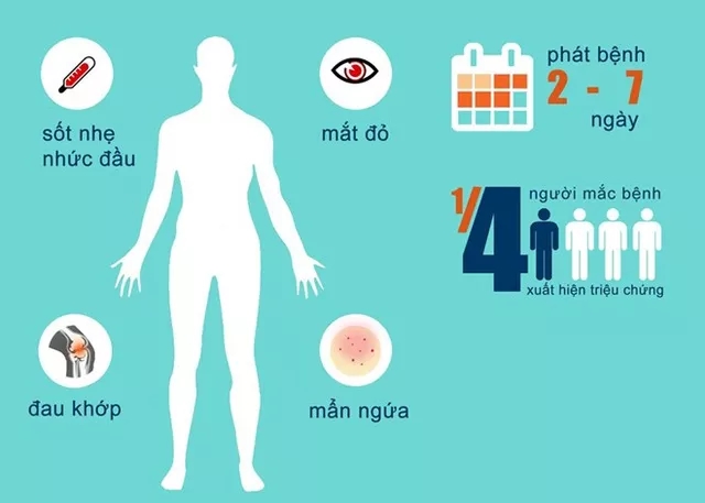 Picture 1 of Why is Zika capable of spreading rapidly in Vietnam?