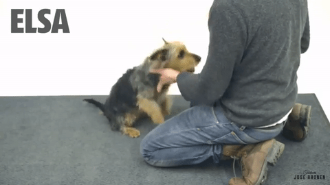 Picture 1 of Why many of us are so light-hearted, so easy to be led by the nose?