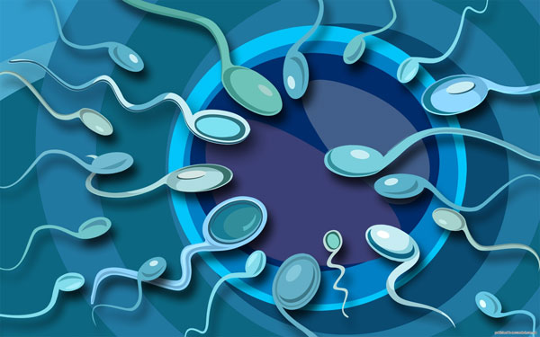 Picture 1 of Why more and more male infertility?