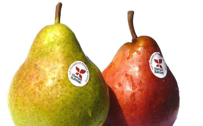 Picture 3 of Why on the apple shell or pear or tiny dots appear?