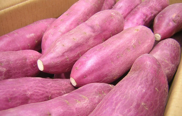 Picture 2 of Why should sweet potatoes be eaten?