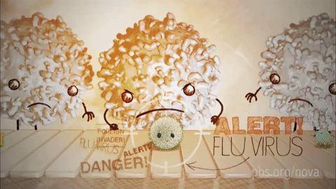 Picture 3 of Why should we get vaccinated?