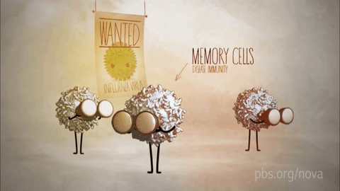 Picture 4 of Why should we get vaccinated?