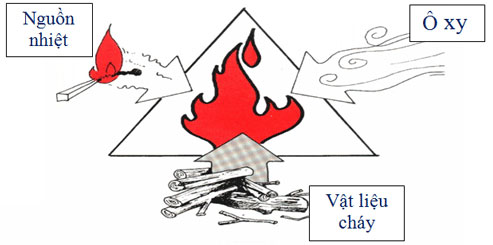Picture 2 of Why when burning, the fire always rises?