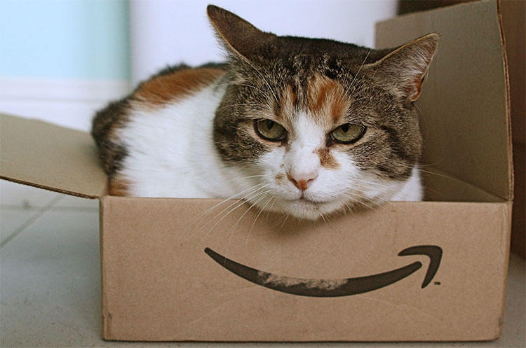 Picture 3 of Why would the tape stick to a circle and the cat would sit obediently?