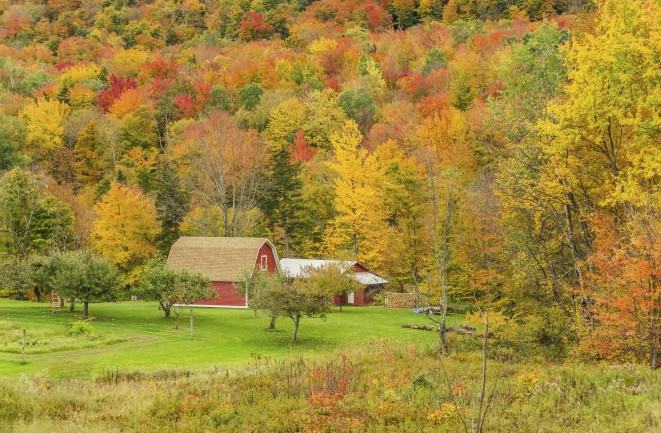 Picture 3 of Will climate change change the color of autumn?