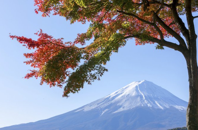 Picture 5 of Will climate change change the color of autumn?