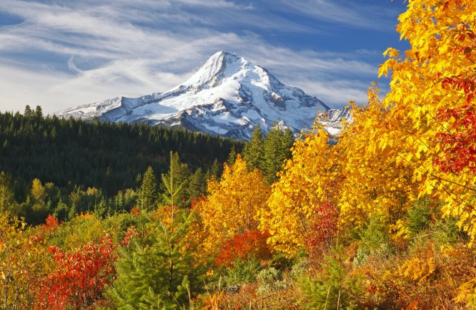 Picture 6 of Will climate change change the color of autumn?