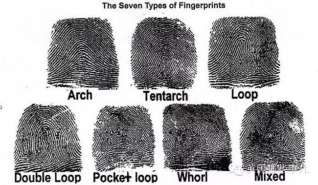 Picture 3 of Will fingerprints change after we die?  The answer surprised everyone!