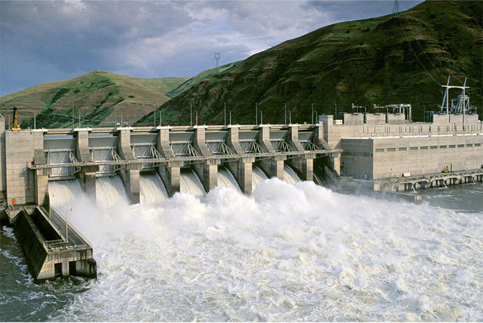 Picture 3 of Will hydroelectric dams eradicate the largest Pacific salmon?