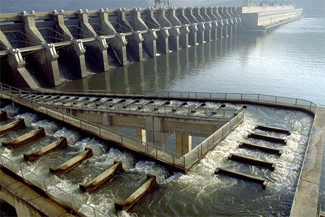 Picture 4 of Will hydroelectric dams eradicate the largest Pacific salmon?