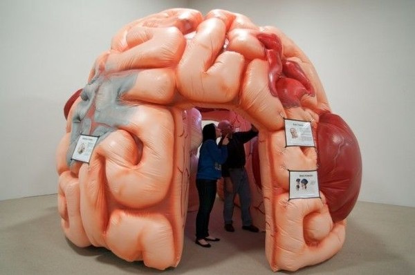 Picture 4 of Will the brain be blown up when information is overloaded?