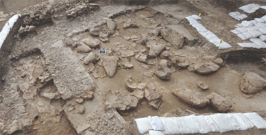 Picture 1 of Wine cellar of 3,700 years old