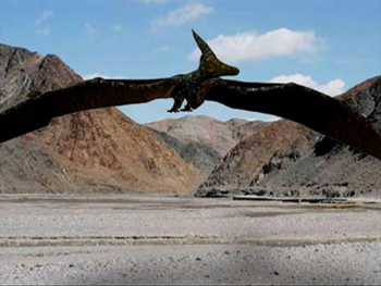 Picture 1 of Winged dinosaurs can't fly