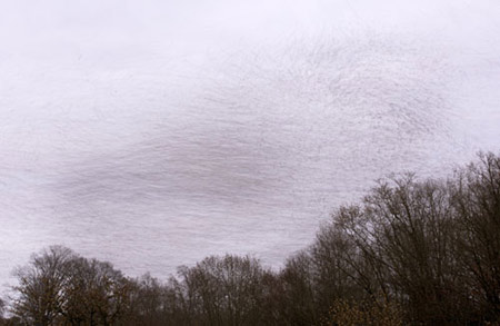 Picture 10 of Winning photos of wild birds