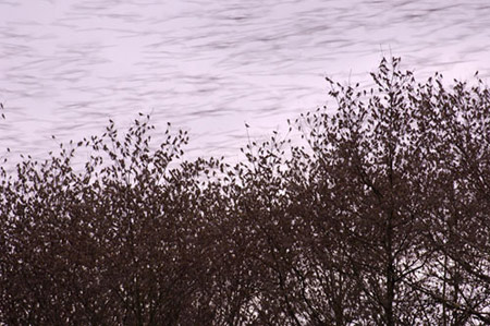 Picture 11 of Winning photos of wild birds