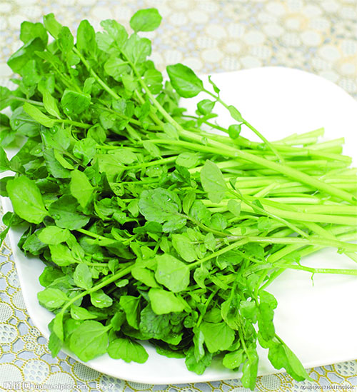 Picture 1 of Winter intensified eating watercress to achieve these great benefits!