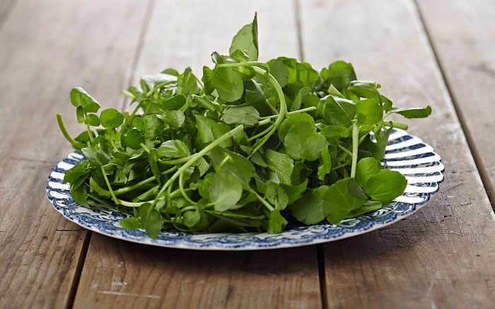 Picture 4 of Winter intensified eating watercress to achieve these great benefits!